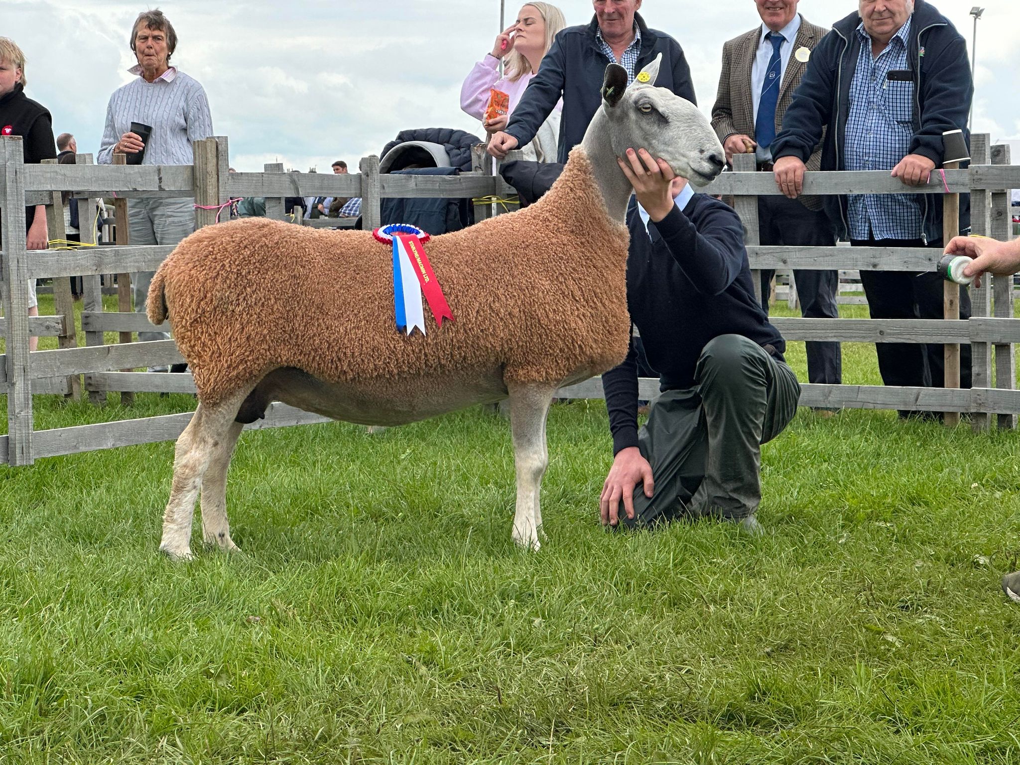 Dumfries Show – Traditional Type Show Results