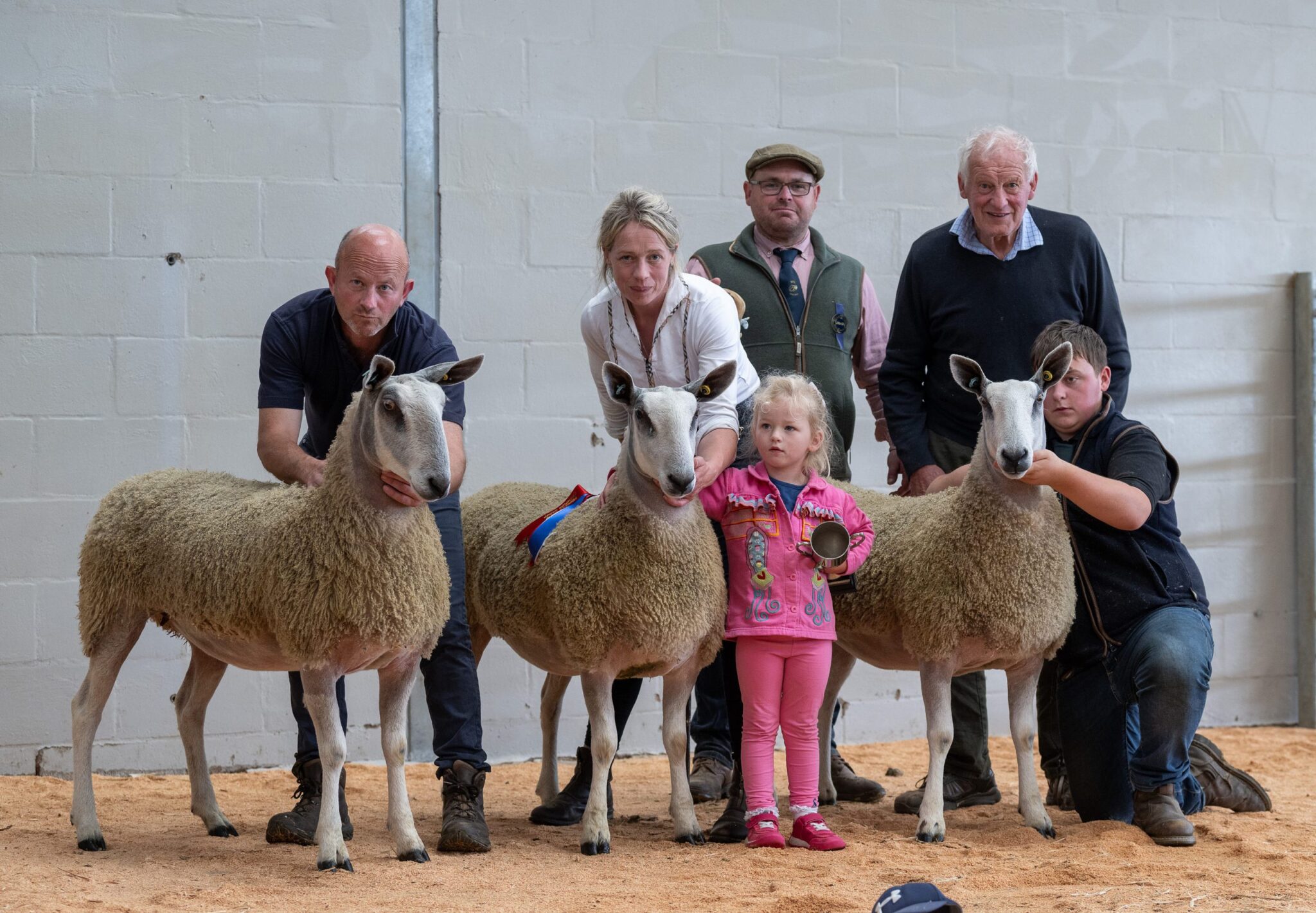 Wales & South West Progeny Show  Image