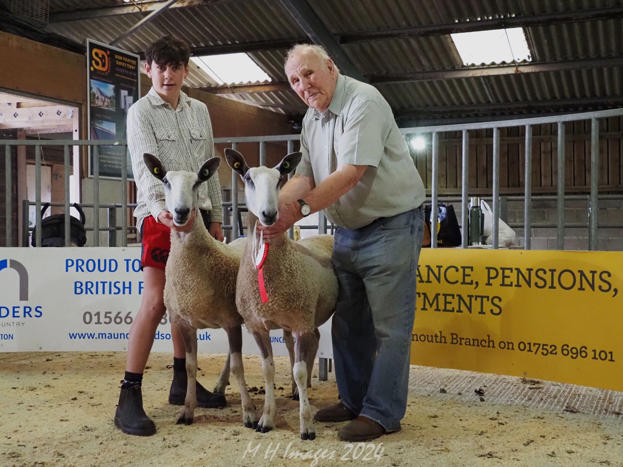 South West Progeny Show – Traditional Type Show Results