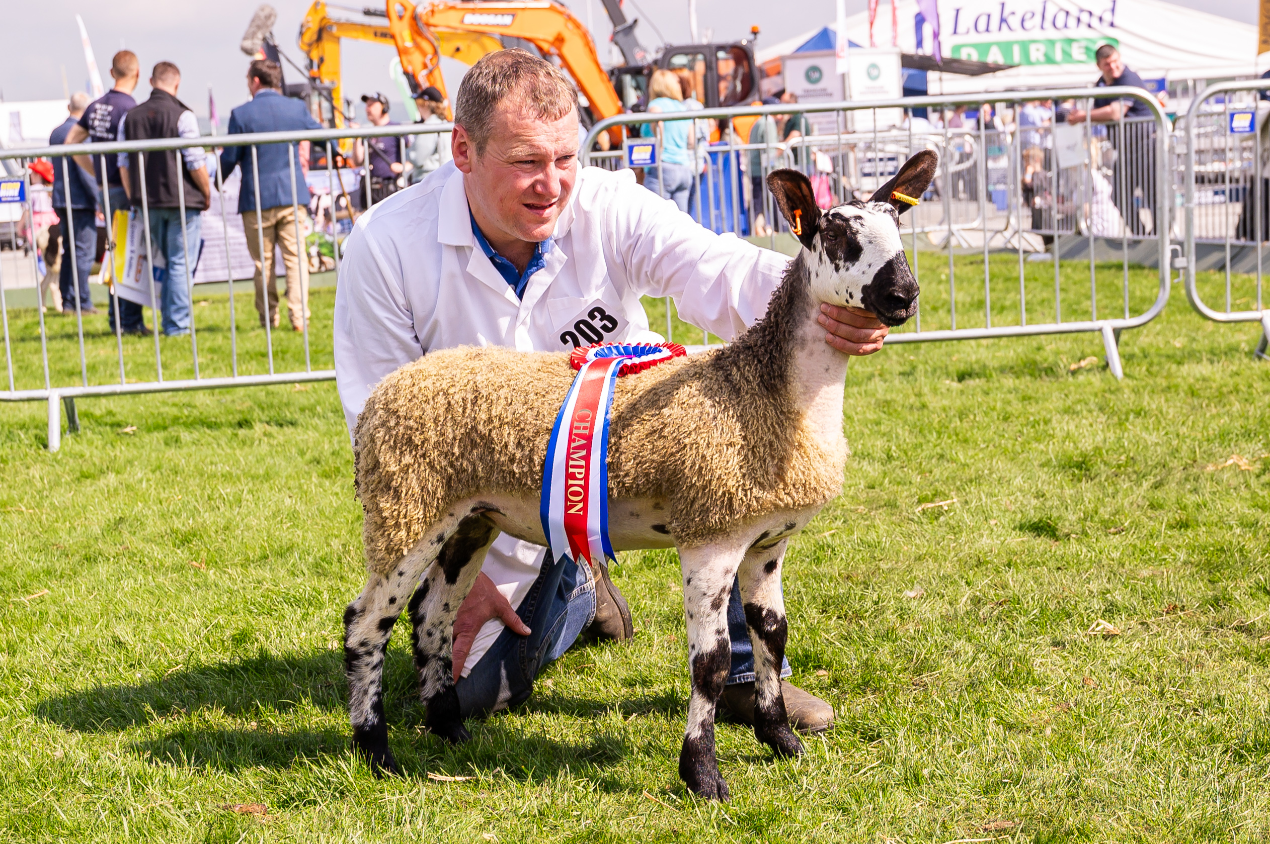 Balmoral Show Show Results