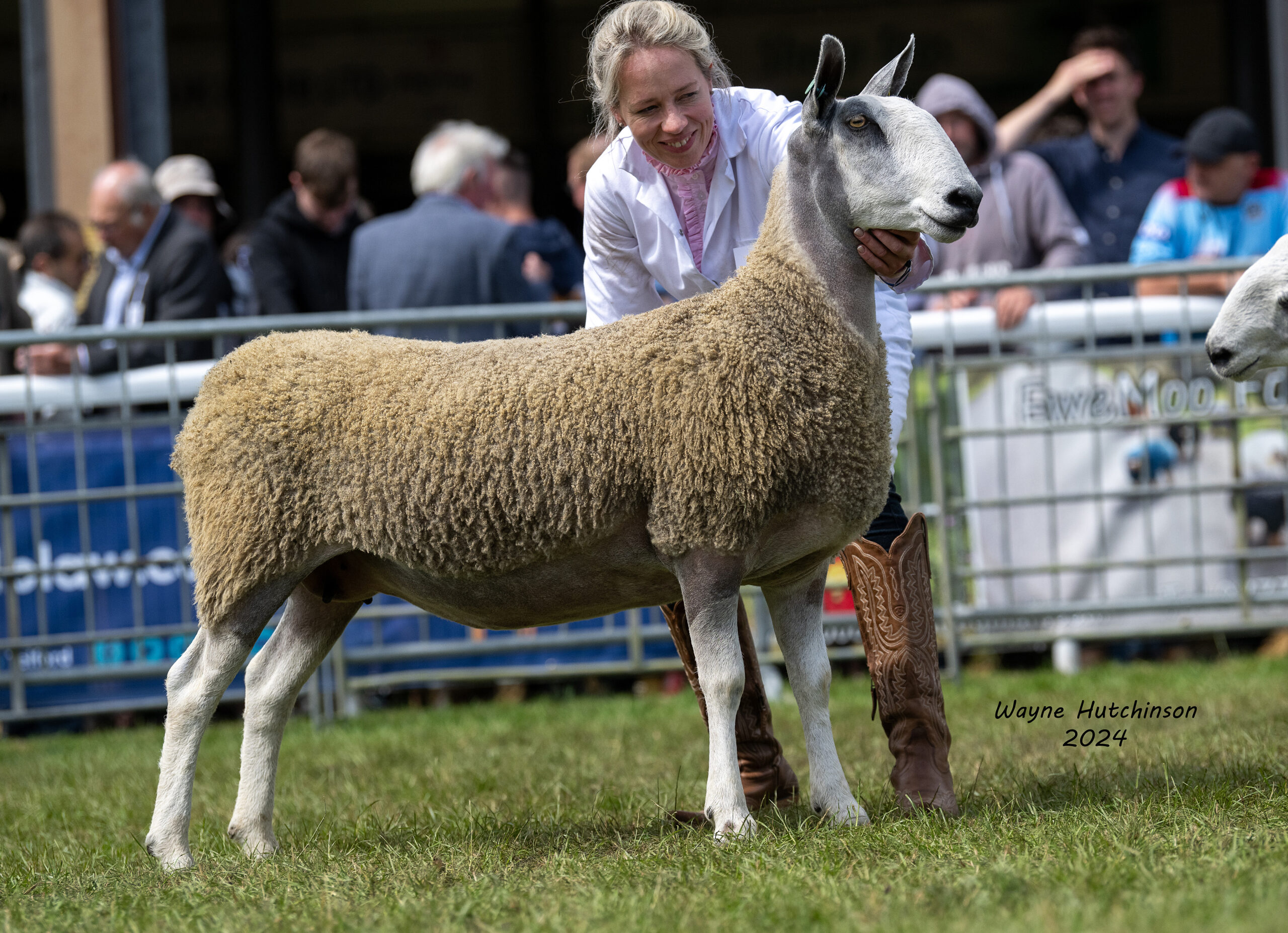 Royal Welsh Show 2024 Show Results