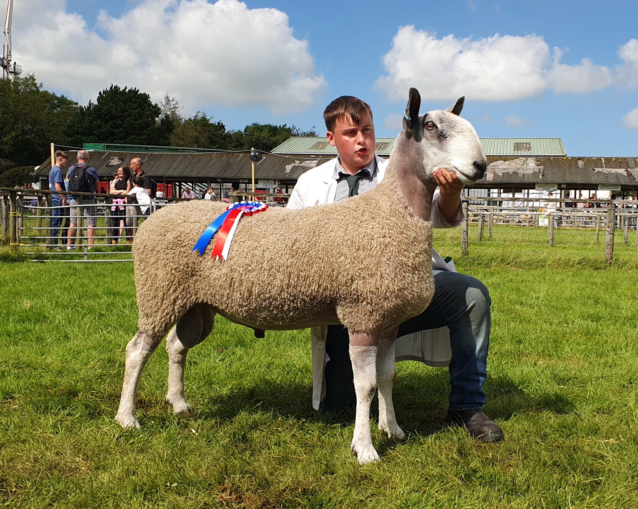 Anglesey Show 2024 Show Results