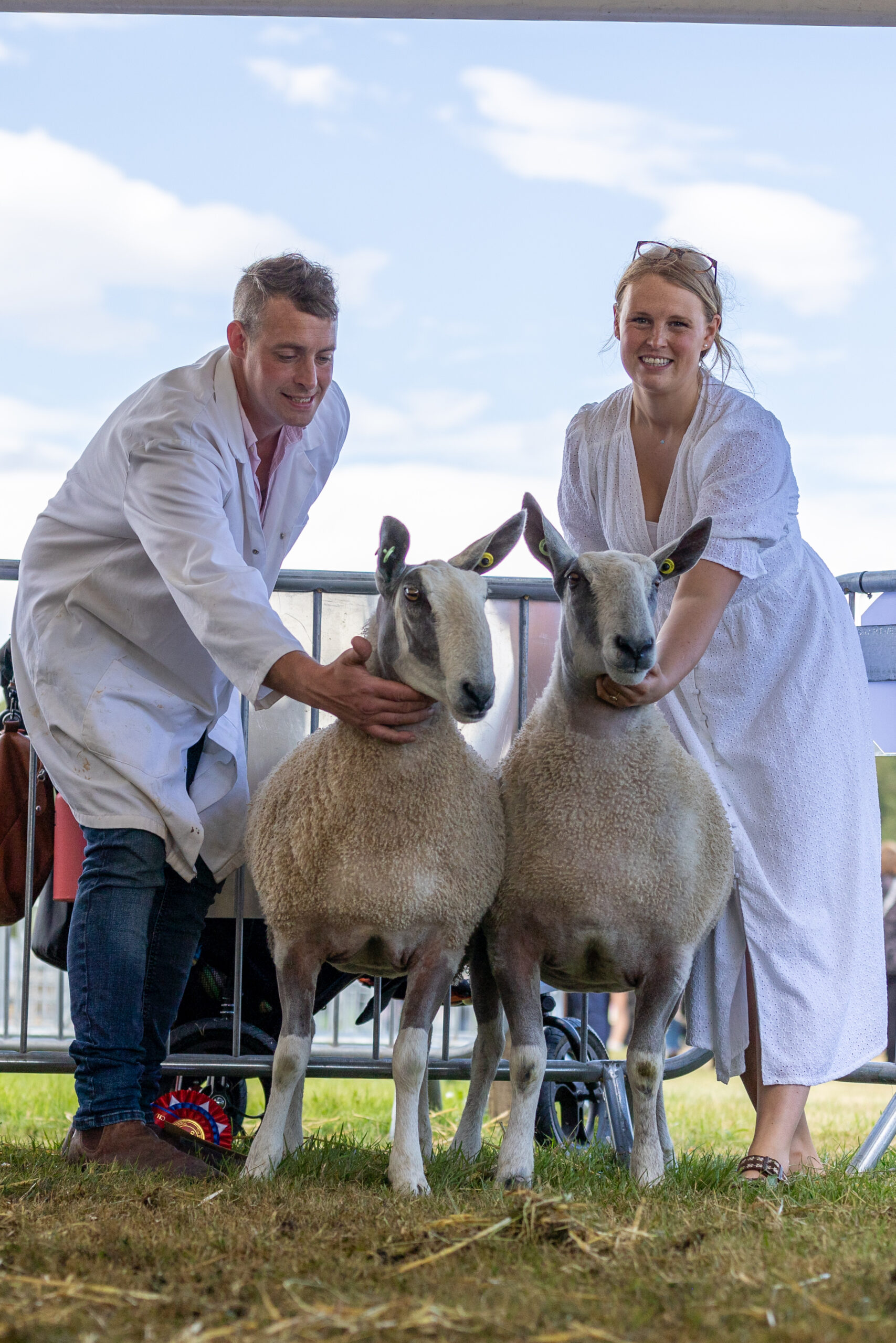 Scottish Progeny Show - Traditional Type - Turriff Show Image