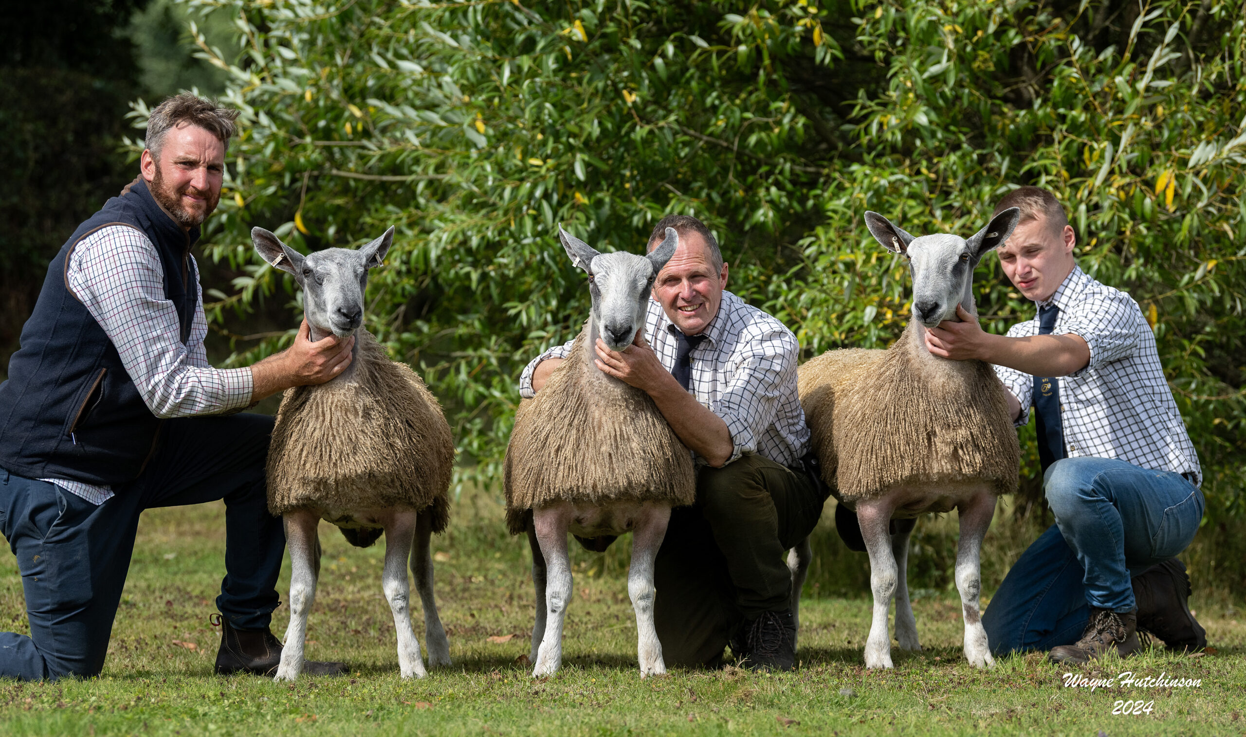 Wales & South West Progeny Show Image