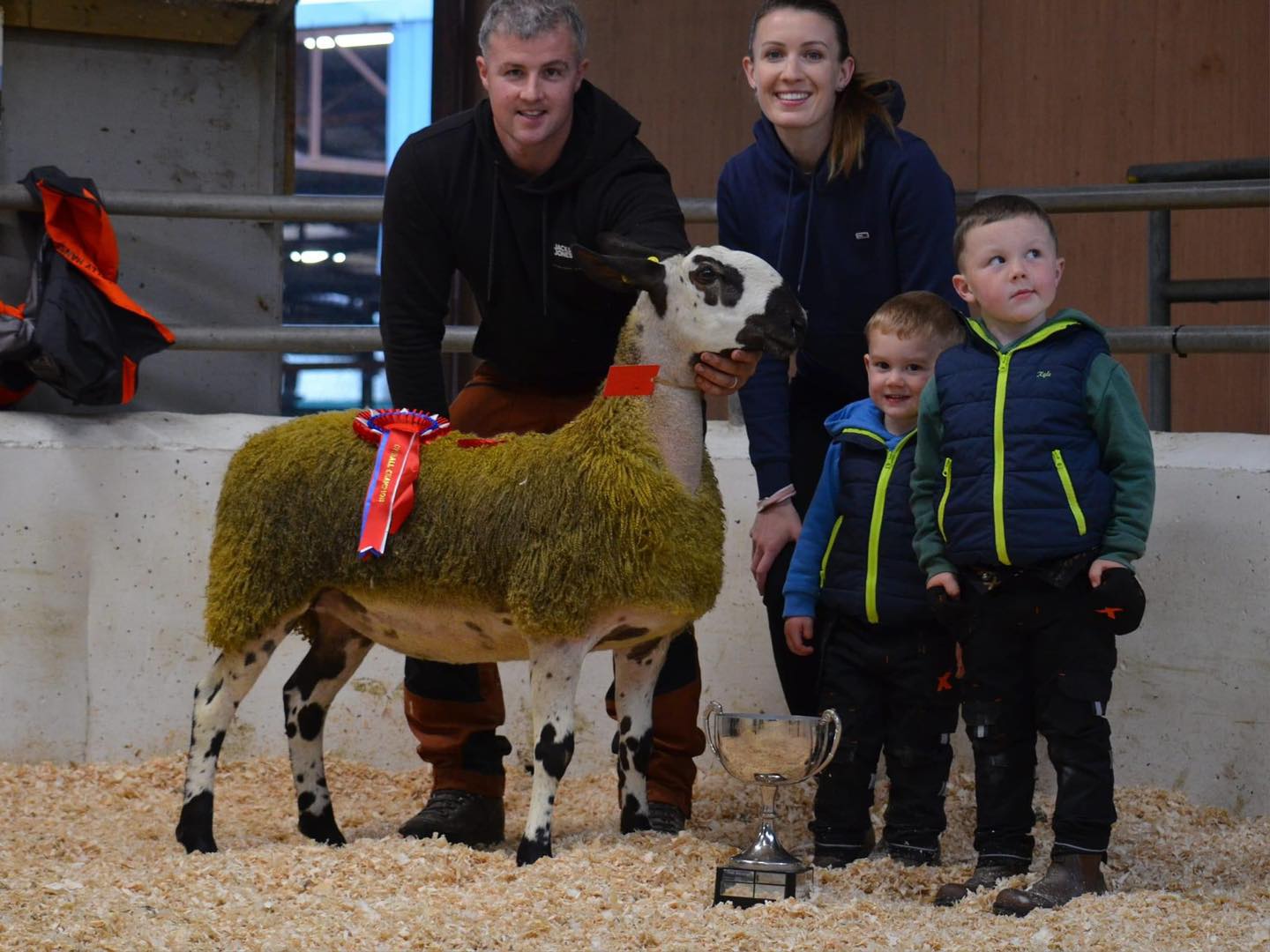 Ballinrobe First Sale - Sale of Registered Pedigree Bluefaced Leicester Rams & Females Image