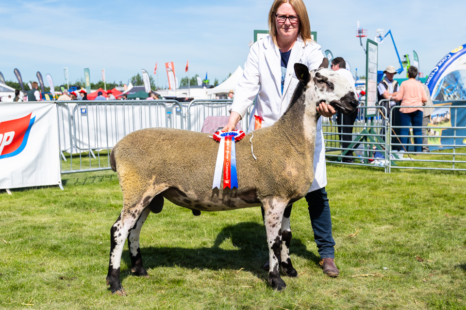 Balmoral Show 2025 Show Results
