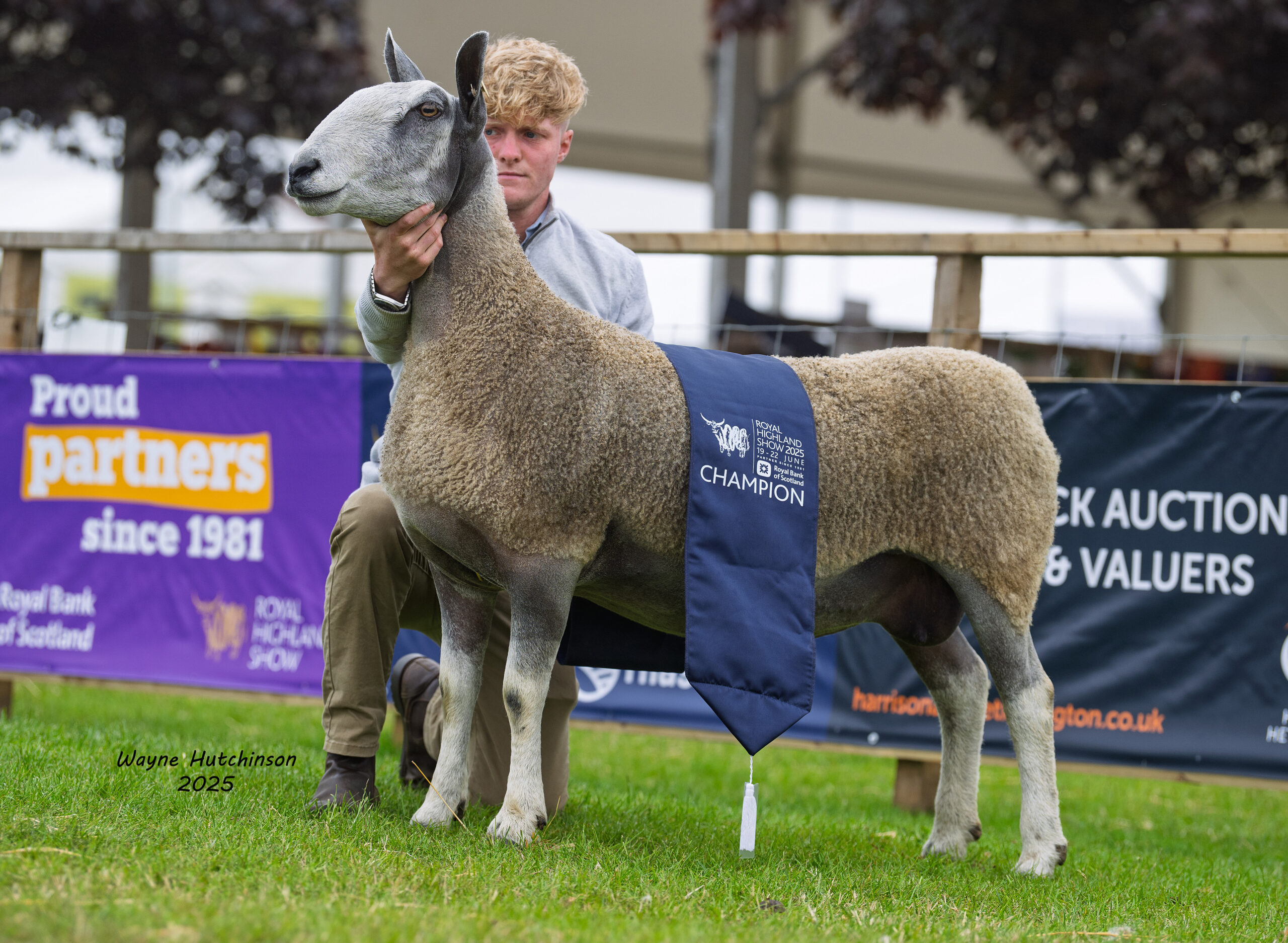 Royal Highland Show - Traditional Type Image