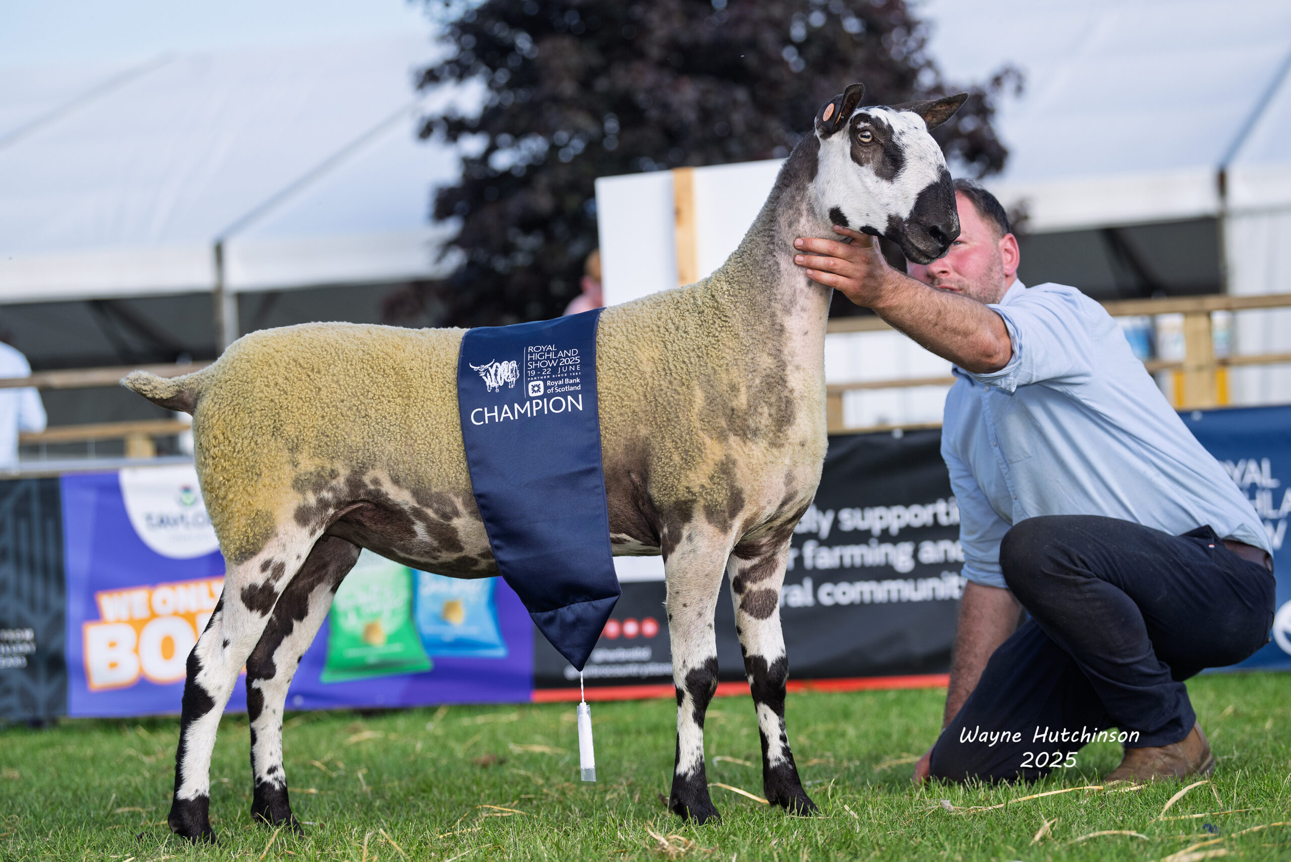Royal Highland Show - Crossing Type Image