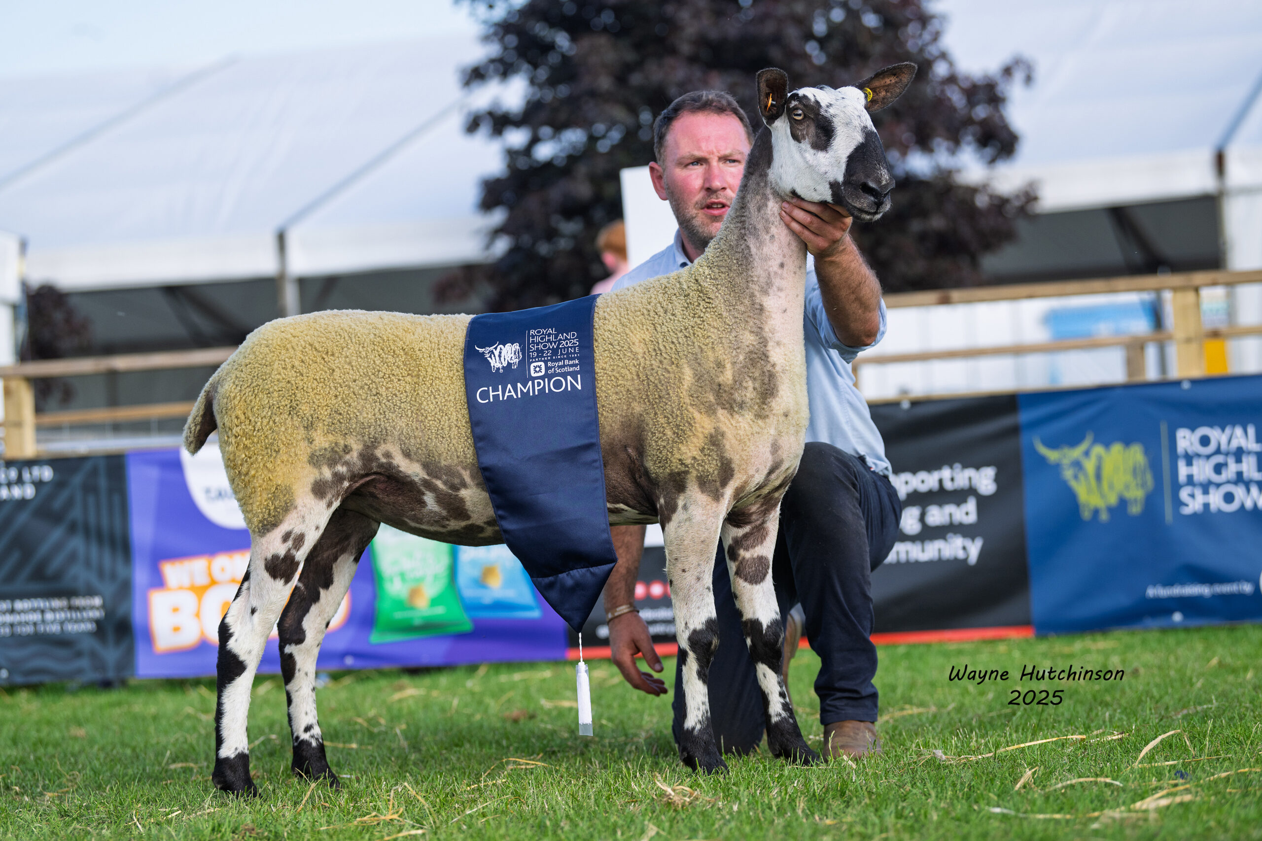 Royal Highland Show 2026 - Crossing Type  Image