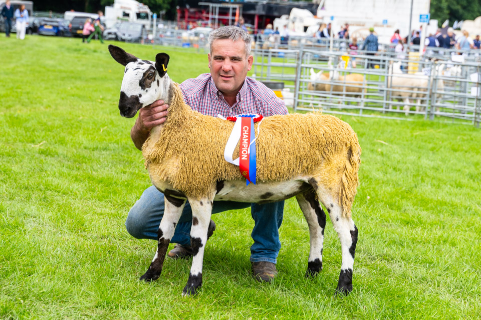 Border Union Show – Crossing Type Show Results