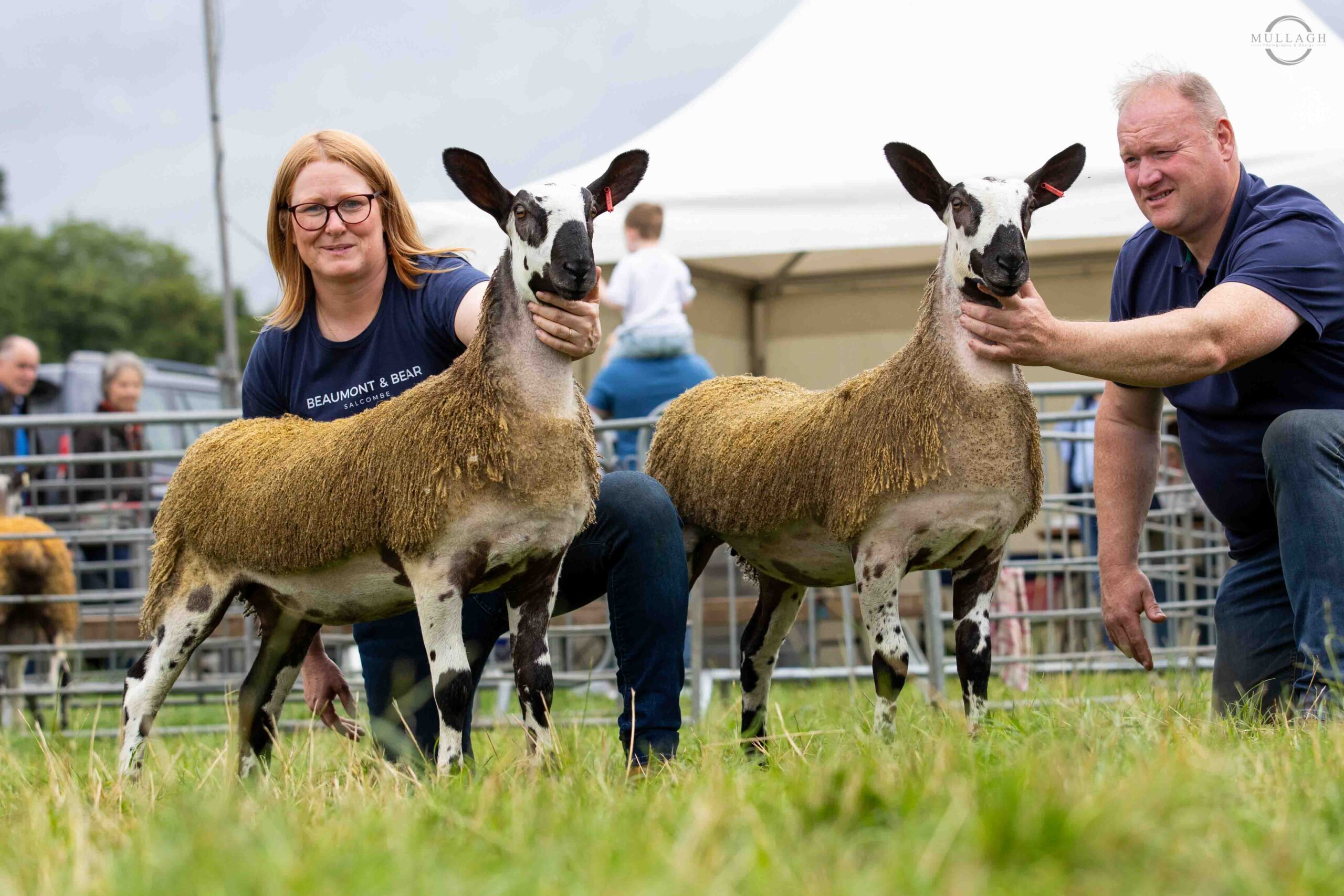 Northern Ireland Progeny Show Image