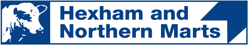Hexham - Thursday 11th September 2025 Icon