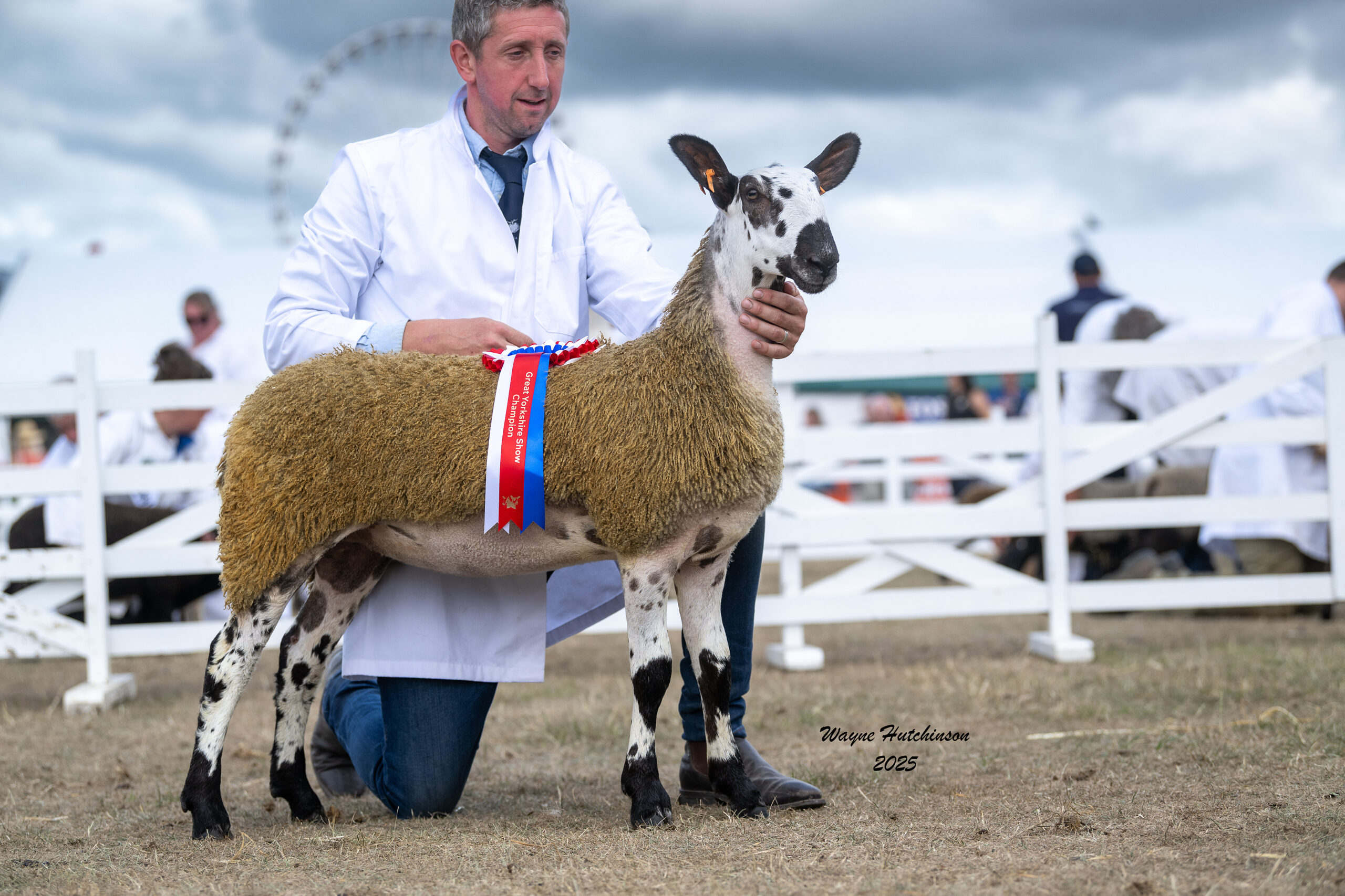 Great Yorkshire Show Image