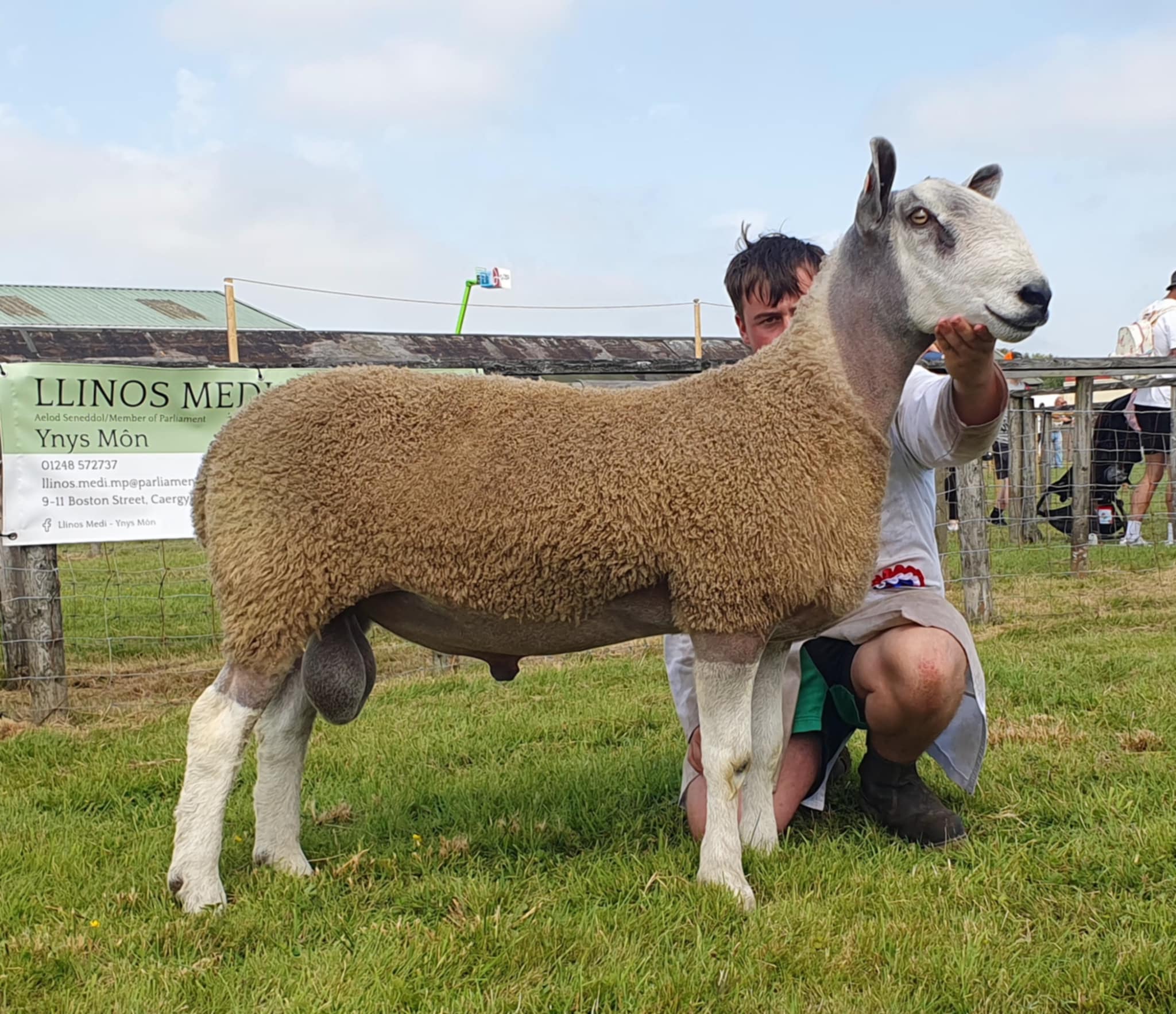 Anglesey Show – 13th August 2025 Show Results