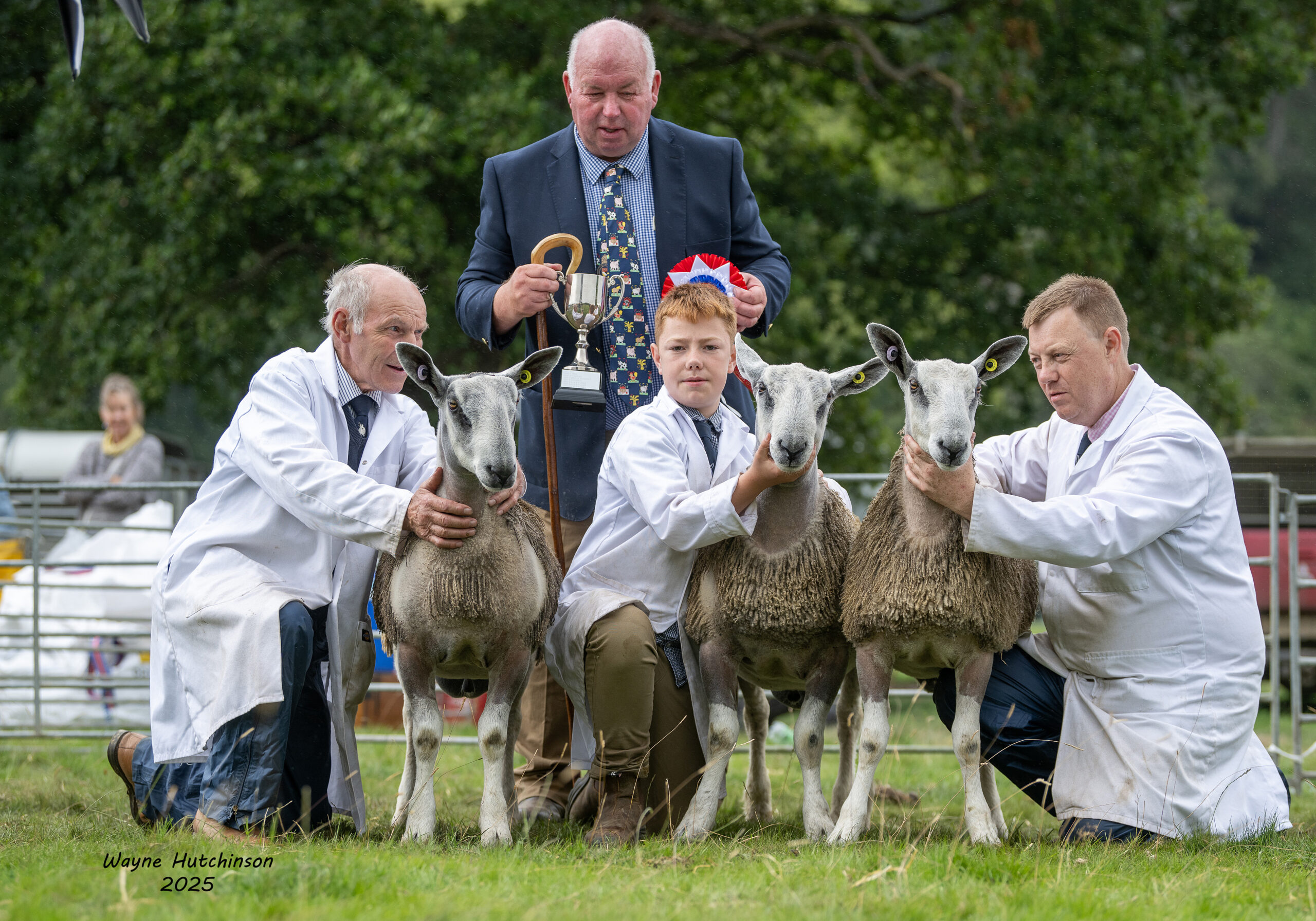 Wales & South West Progeny Show Image