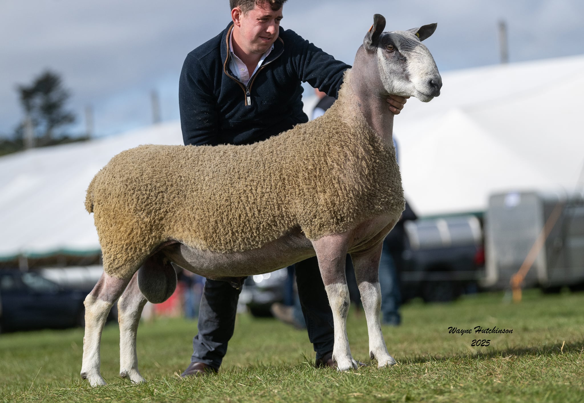 Kelso – Traditional Type – 12th September 2025 Sale Reports