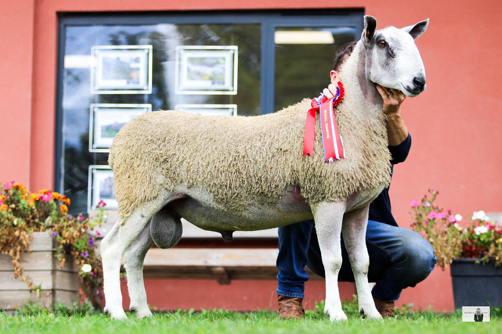 Ruthin Image