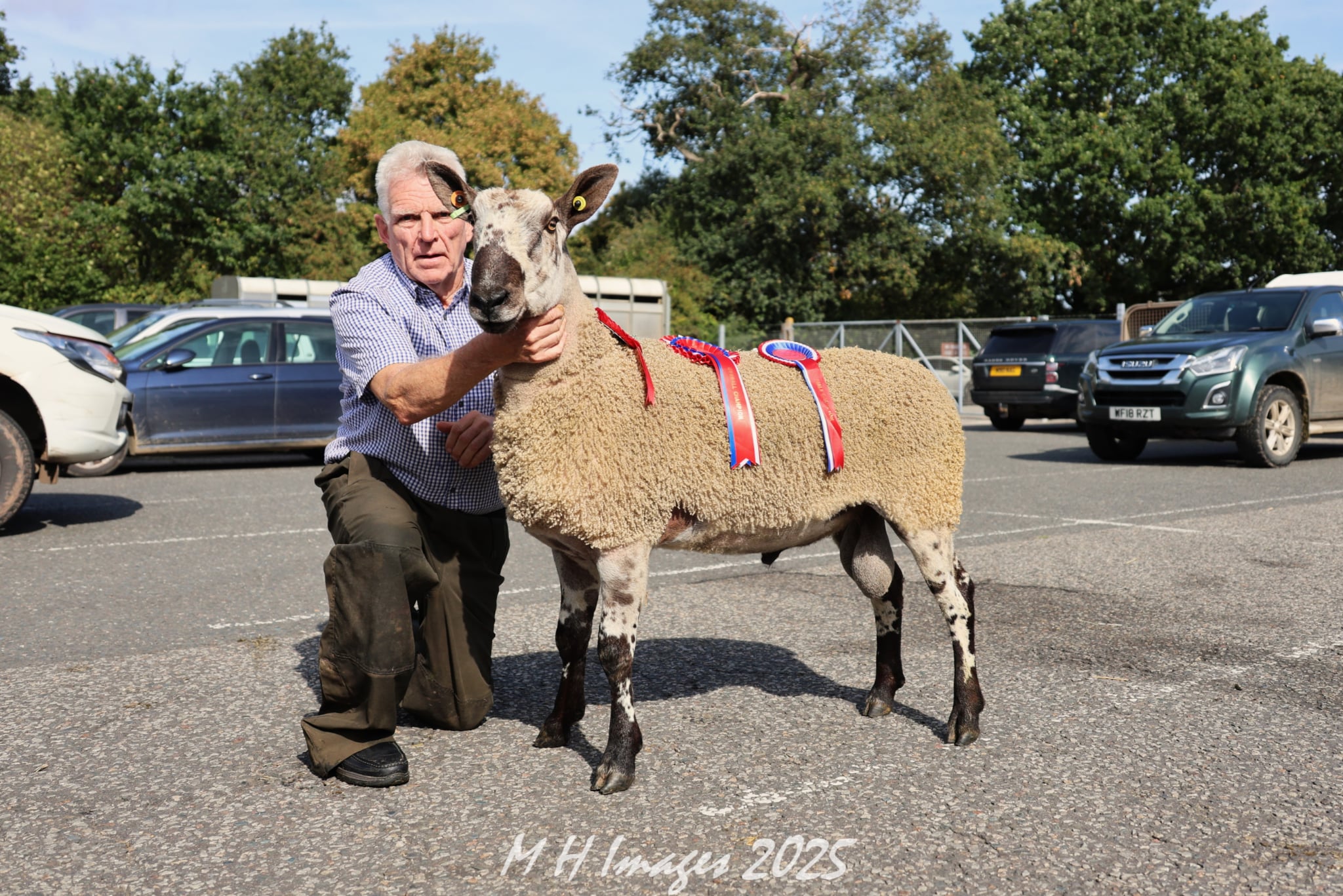 Exeter Livestock Centre - New Venue  Image