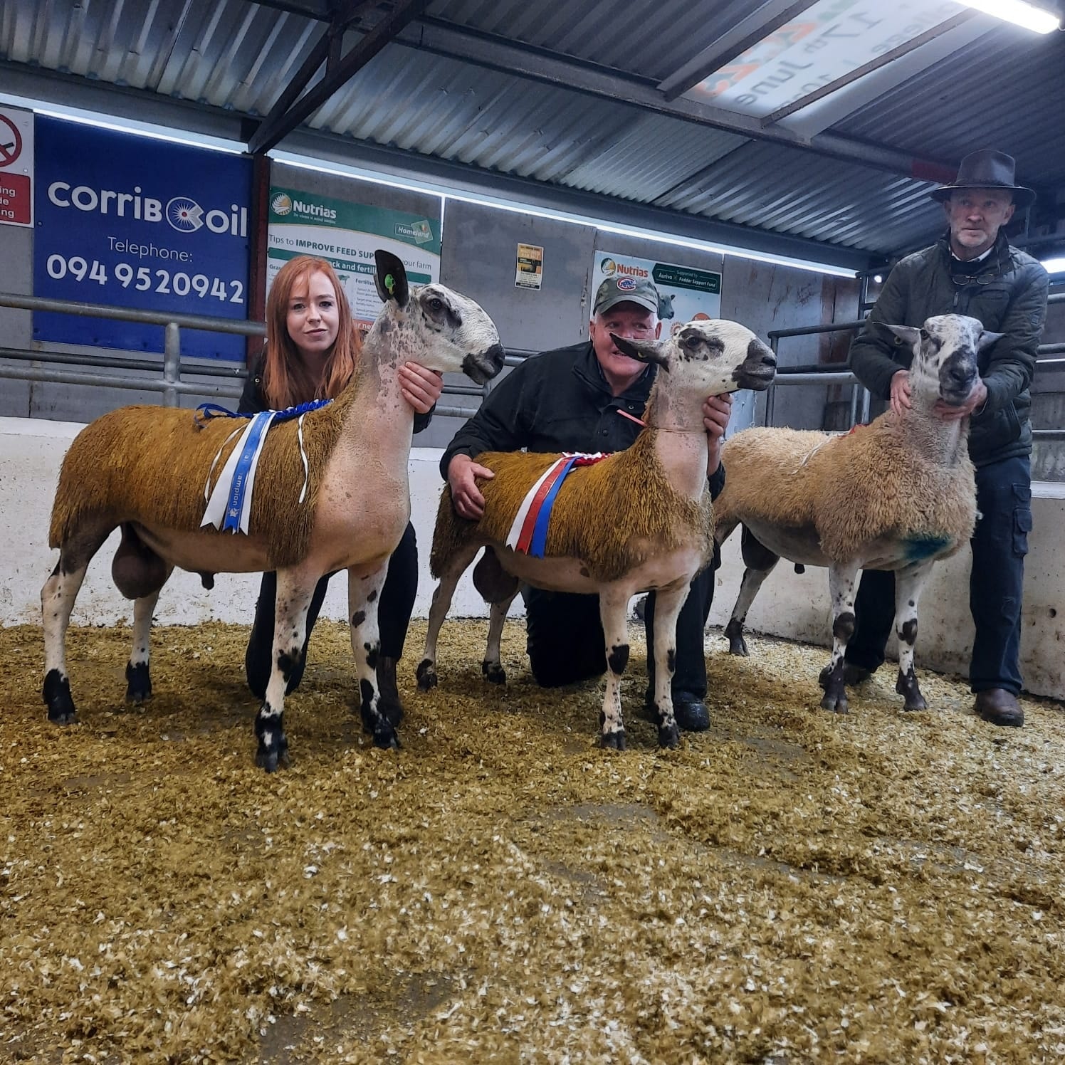 Ballinrobe Second Sale Image