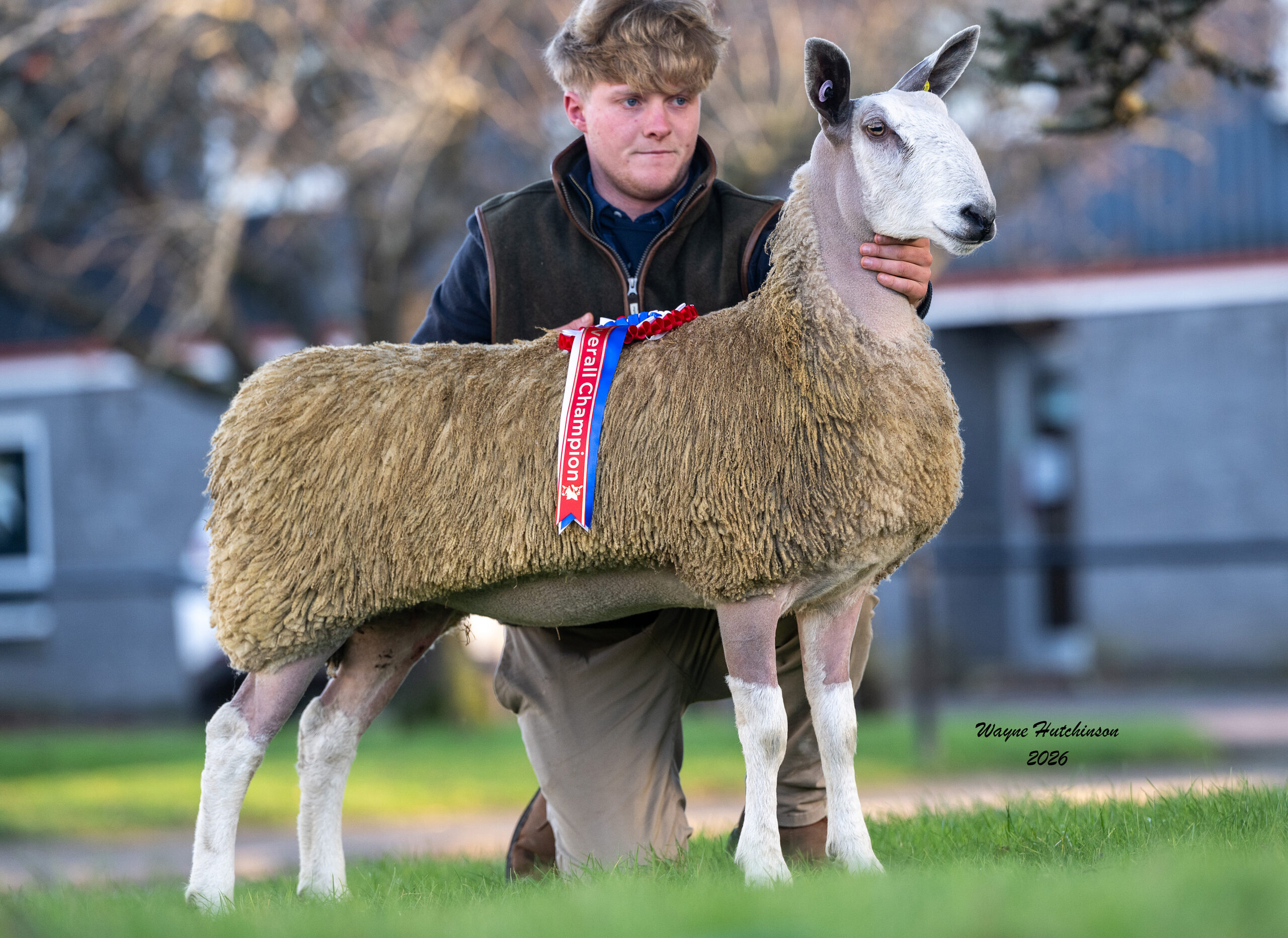Carlisle Blue Belles  Image