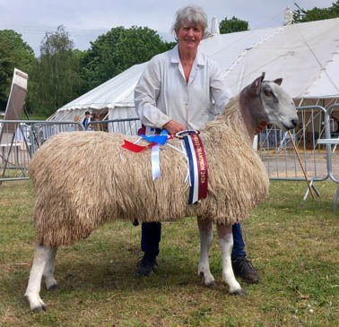 Devon County Show 2026 Show Results