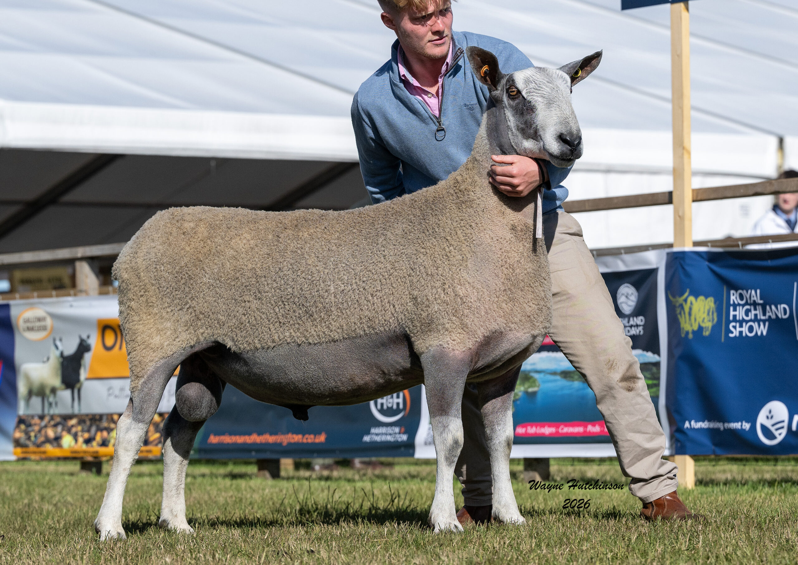 Royal Highland Show 2026 - Traditional  Image