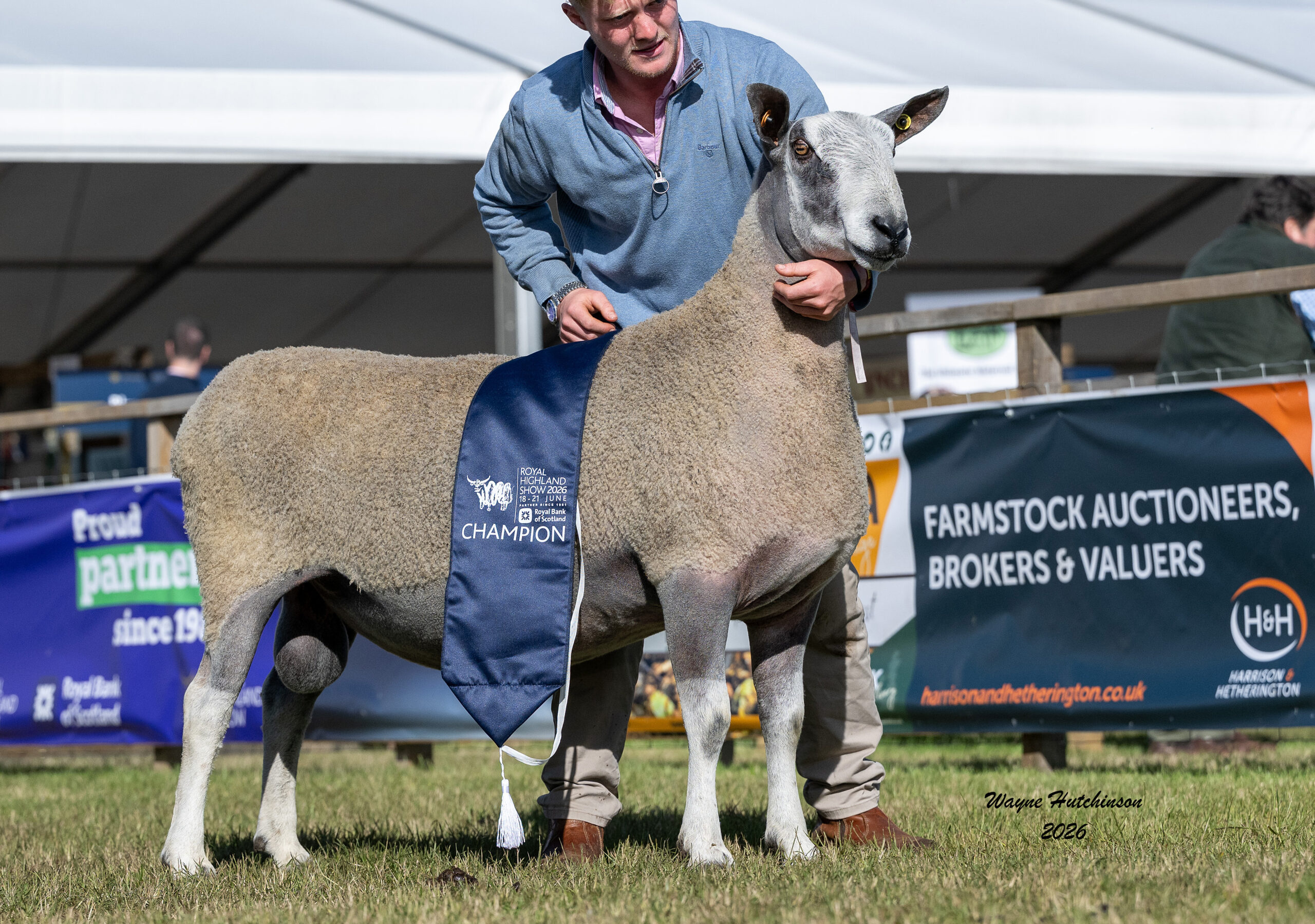 Royal Highland Show – Traditional Type Show Results