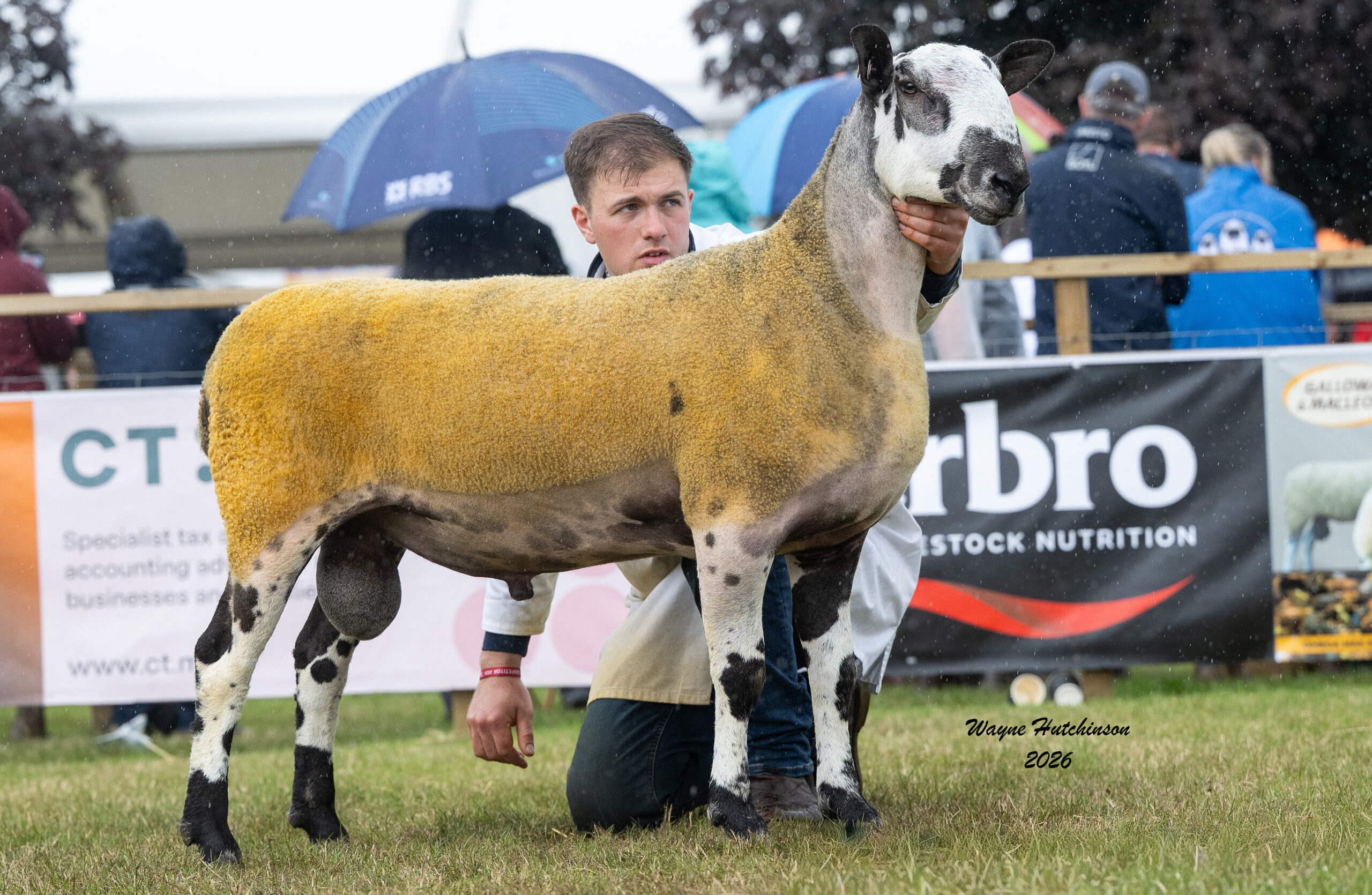 Royal Highland Show 2026 - Crossing Type  Image