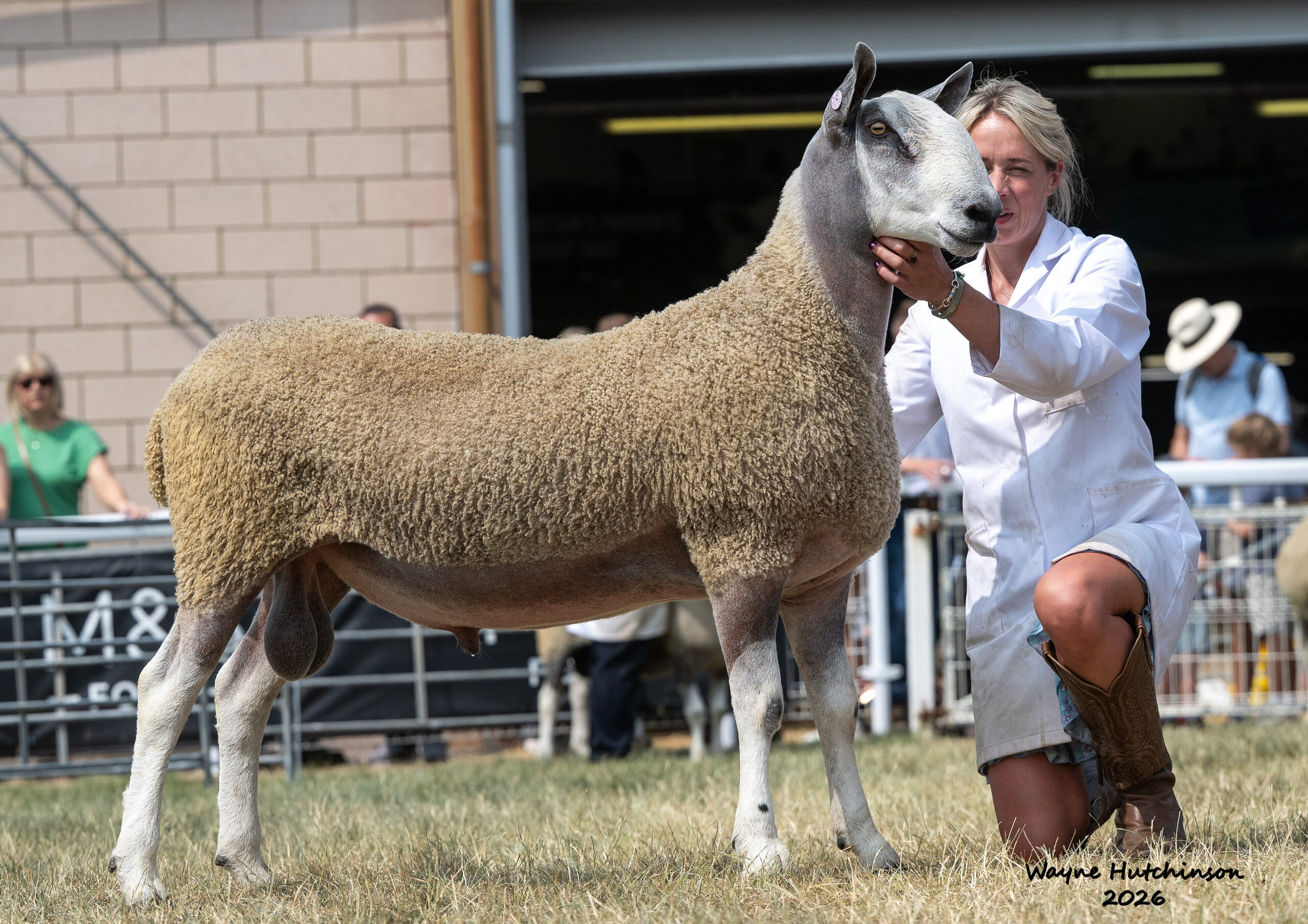 Royal Welsh Show – Traditional Type Show Results