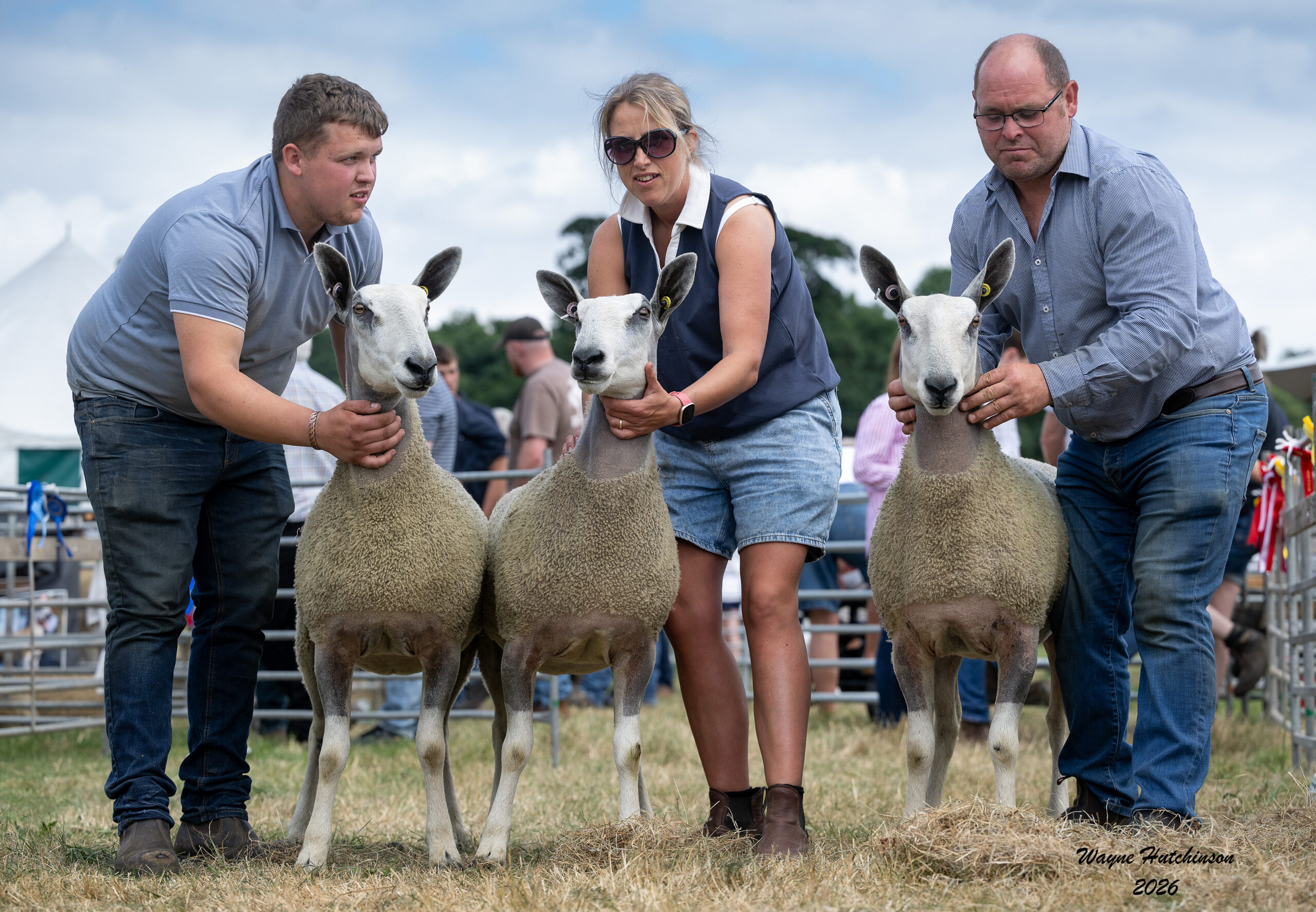 North West Progeny Show – Penrith Show – Traditional Type Show Results