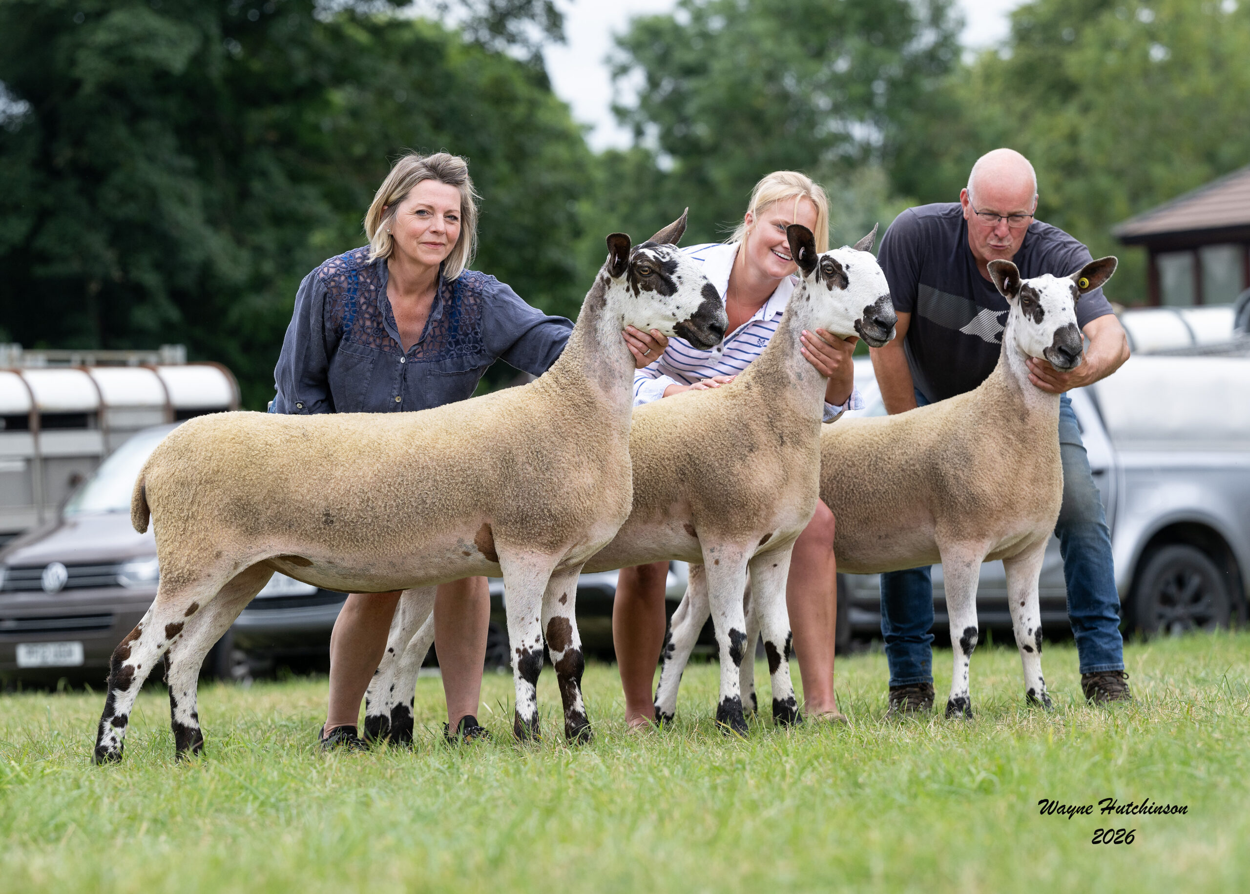 North West Progeny Show – Penrith Show – Crossing Type & Mules Show Results