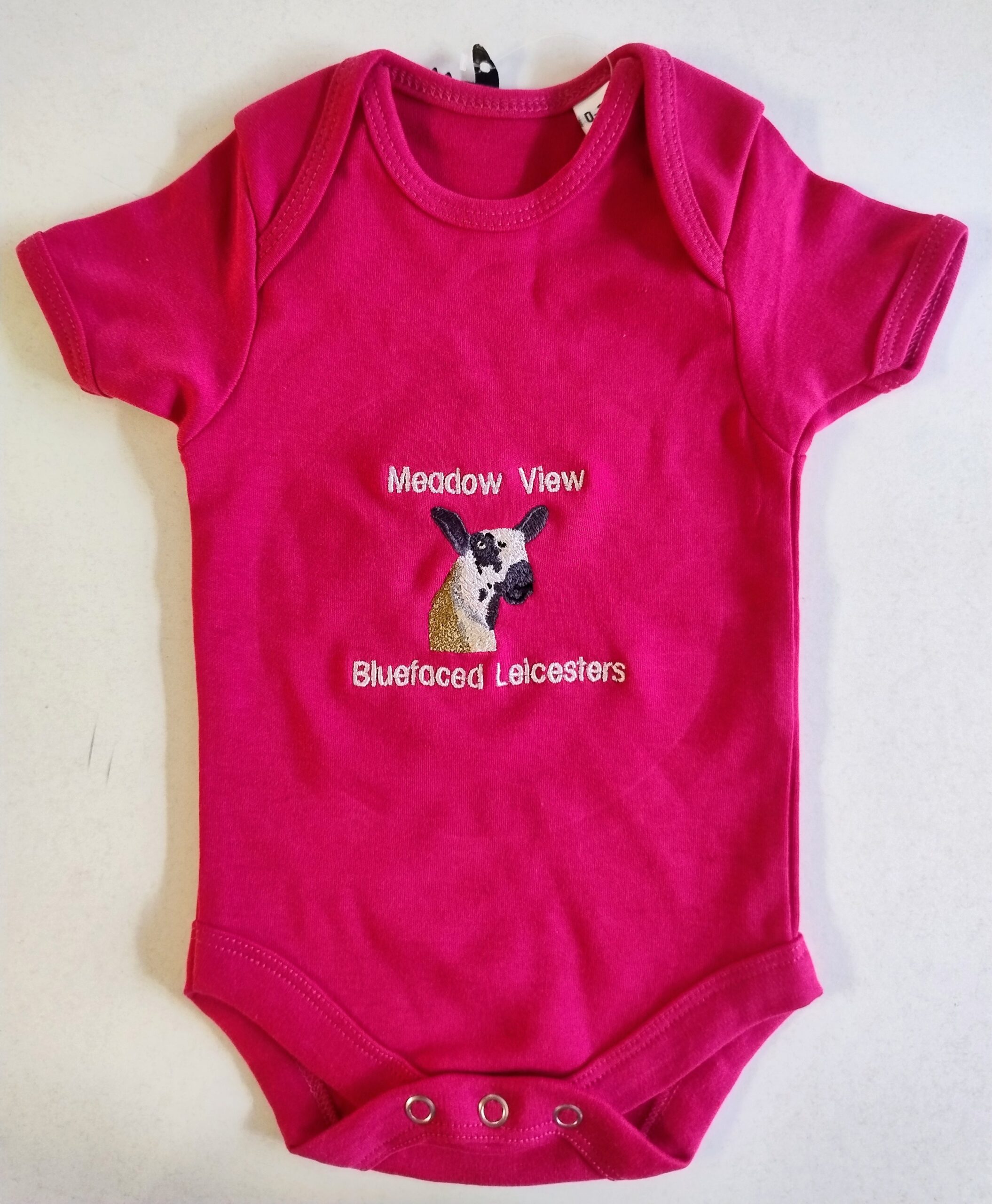 Short Sleeve Baby Bodysuit