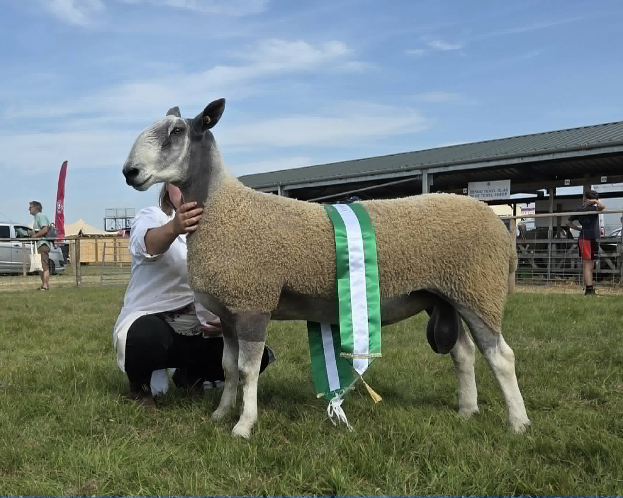 Anglesey Show 2026  Image