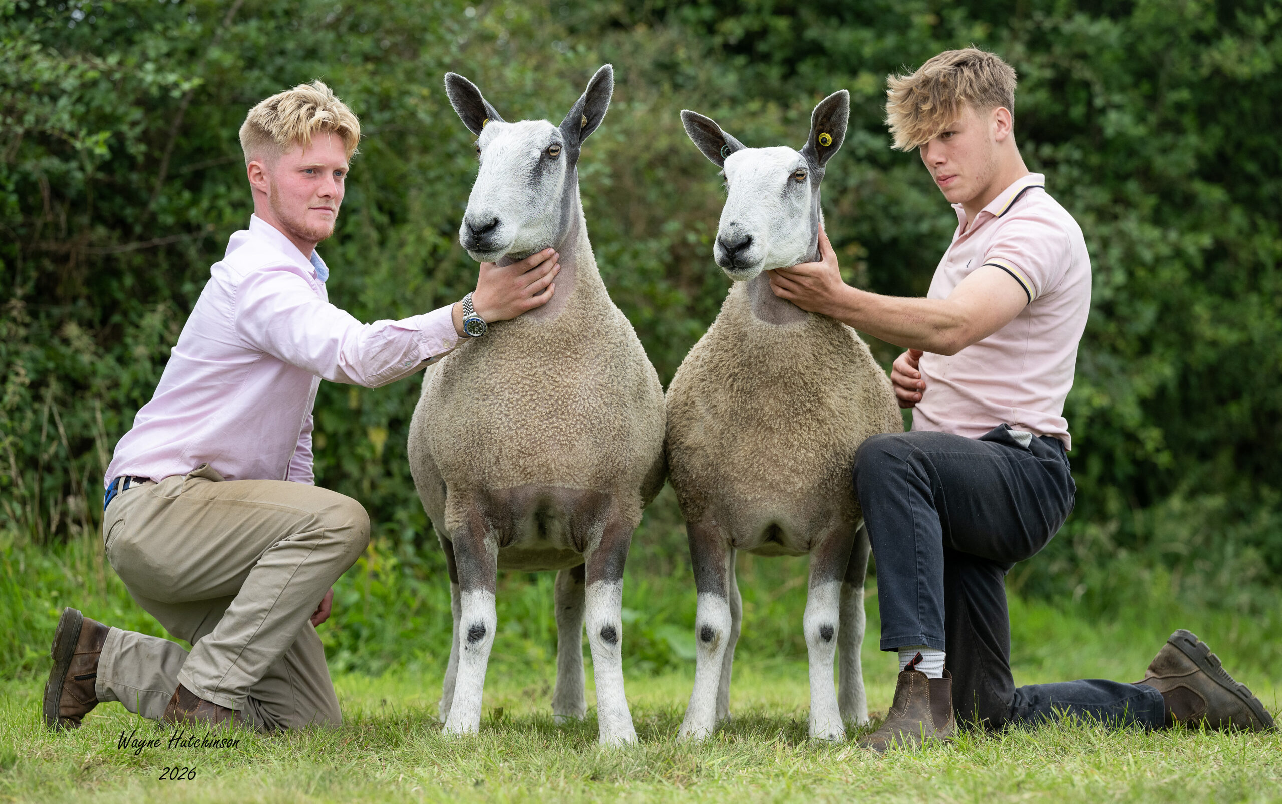 Scottish Progeny Show – Glenkens Show – Traditional Type Show Results