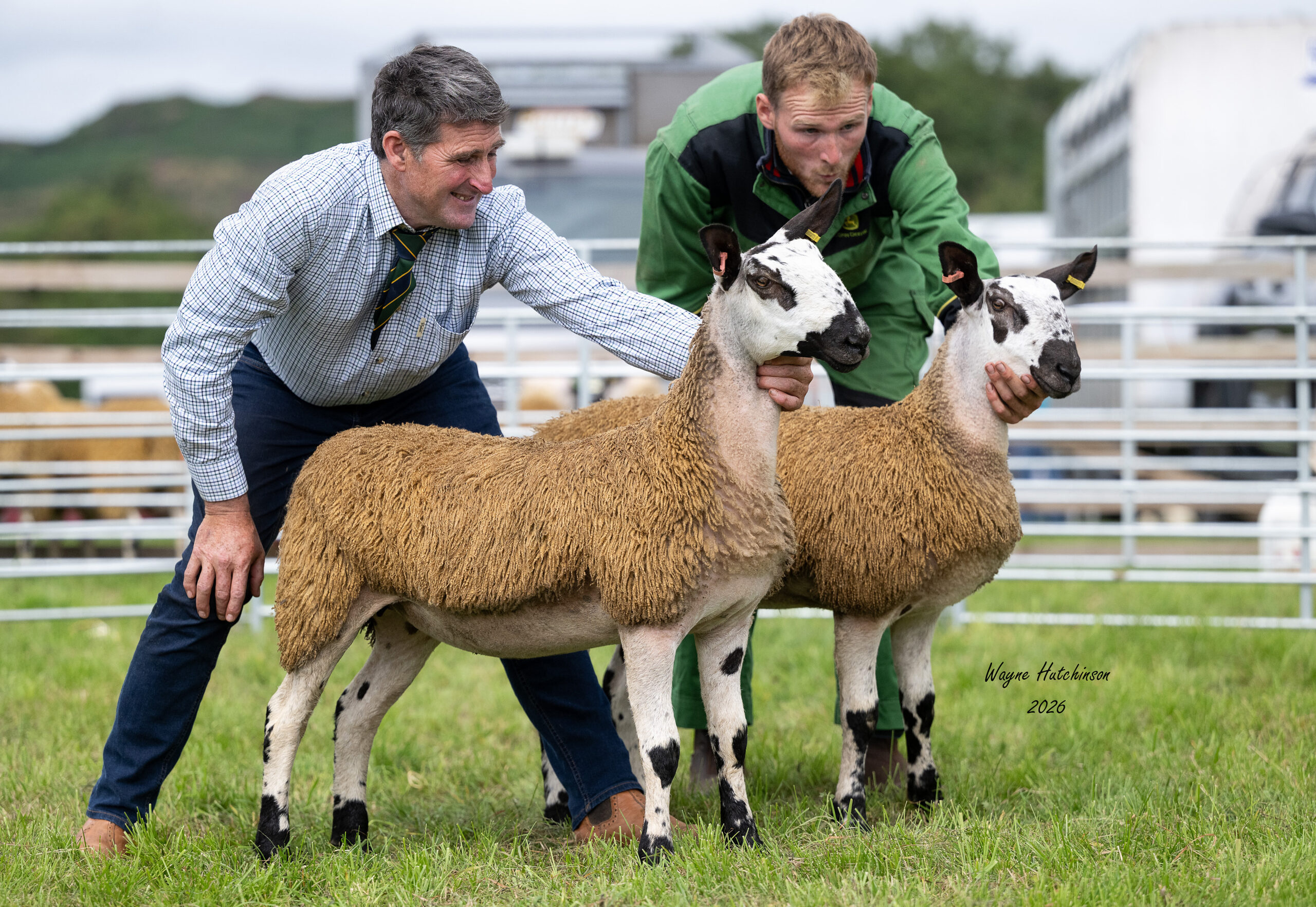 Scottish Progeny Show – Glenkens – Crossing Type & Mule Progeny Show Results