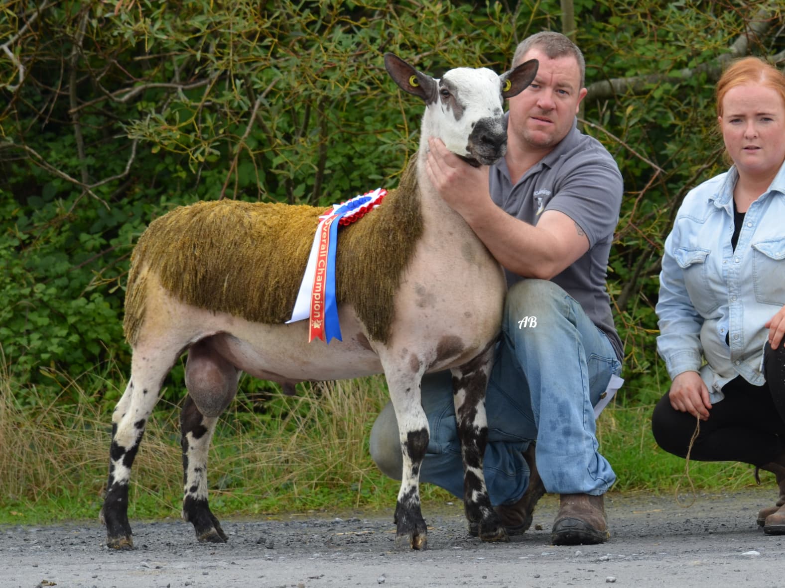 Southern Ireland - Ballinrobe First Sale Image